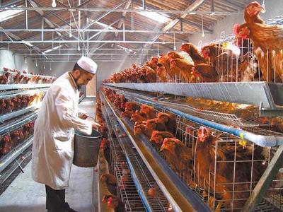 在農村能干什么?來看看未來農村的發展趨勢