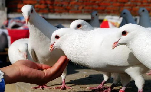 民生無小事 枝葉總關情 品味泰安市政府工作報告數字背后的民生故事