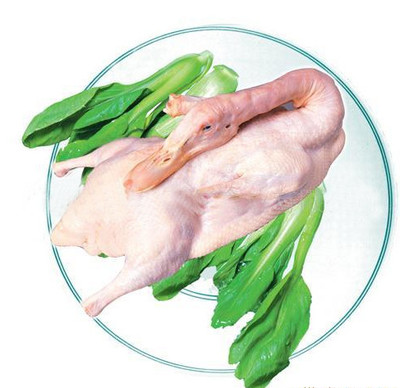 供應滿庭芳家禽養(yǎng)殖白條鴨養(yǎng)殖聯(lián)系電話13012332052-重慶滿庭芳家禽養(yǎng)殖股份合作社