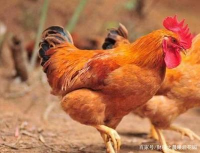 2020年5月1日起,環(huán)境保護企業(yè)的增值稅稅率有哪些?