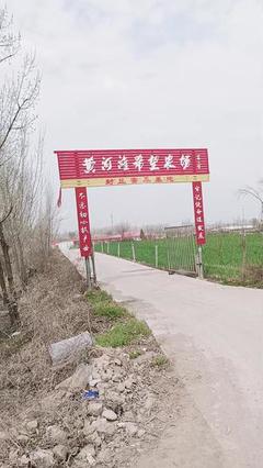 家禽養殖養鵝常見問題