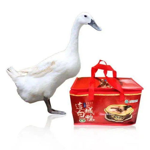 明日廈門這里要火了 海峽導購開啟大型特賣會,全場1元起,就等你來