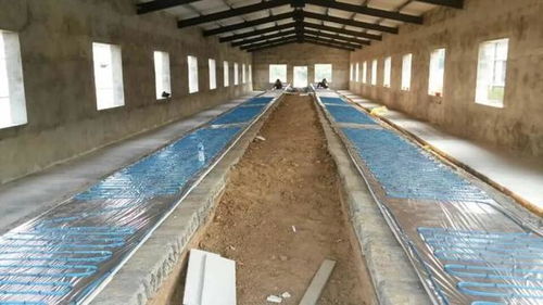 當(dāng)家禽用上了地暖 蔬菜種植配上了中央空調(diào)