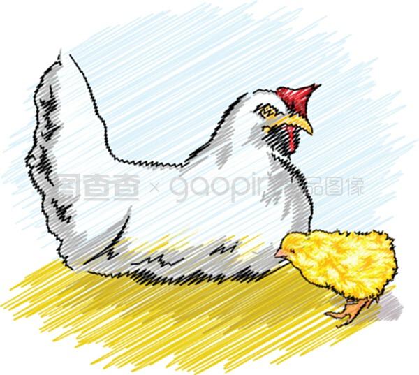 家禽養(yǎng)殖場(chǎng)里的雞