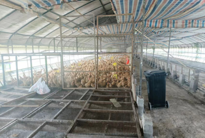 望江漳湖:抓書記項目落實 助力村集體經(jīng)濟