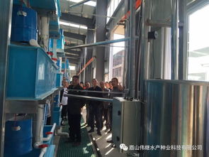 四川省眉山市東坡區(qū)白馬鎮(zhèn)水產(chǎn)養(yǎng)殖大戶到眉山偉繼水產(chǎn)種業(yè)科技基地參觀學(xué)習(xí)