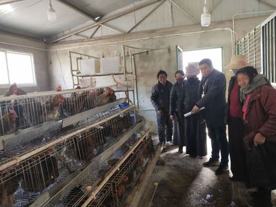 【江達(dá)簡訊】小城動(dòng)態(tài)導(dǎo)覽