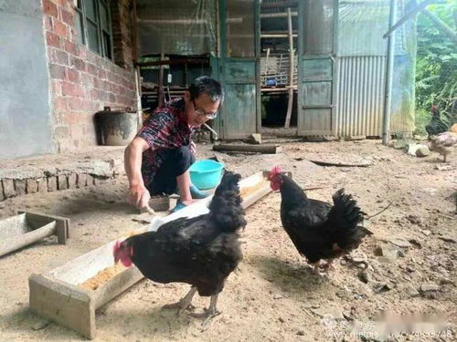 蘆溪縣貧困殘疾人自強脫貧風采掠影