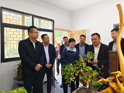 駐局紀(jì)檢監(jiān)察組組長(zhǎng)、省局黨組成員康紅深入豐景村調(diào)研督導(dǎo)鄉(xiāng)村振興工作