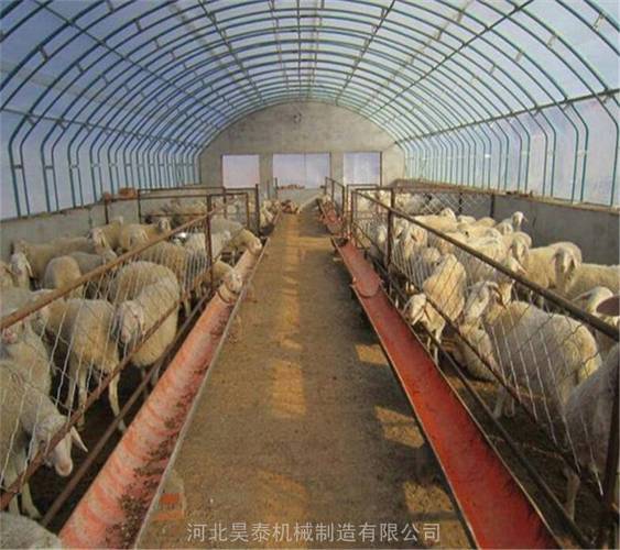 【搭建家禽養殖大棚 薄膜溫室養豬大棚 保溫大棚】批發_廠家-中貿銳豐