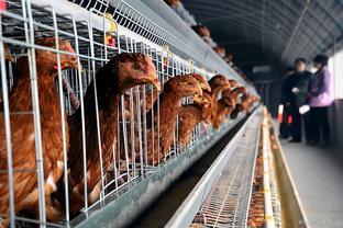 4月12日家禽市場簡評