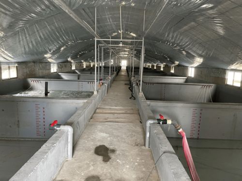 水產養殖污染遠超工業，專家呼吁行業轉型