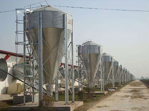 養殖料塔 助力現代農牧與水產養殖高效發展