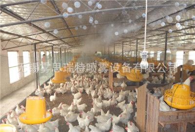 專業家禽養殖場消毒殺菌除臭設備工程安裝解決方案