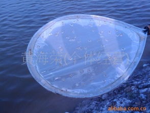 如東縣亞康水產養殖場 專業供應大眼幼體，助力水產與家禽養殖發展